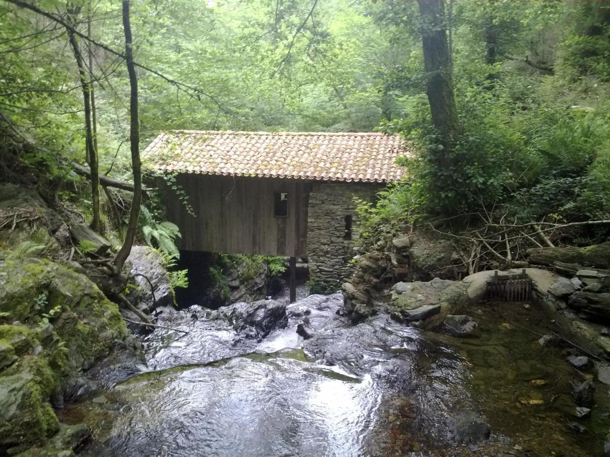 Apartamentos Mendebaldea Suites Pamplona Bagian luar foto